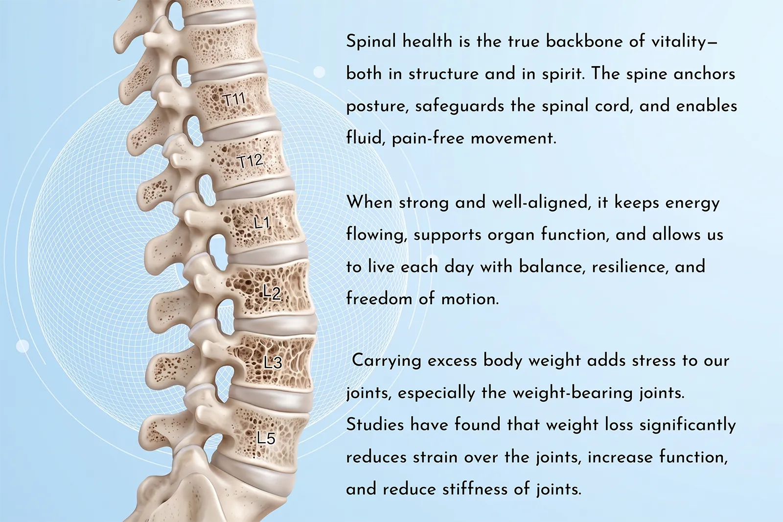 Joints, Bones & Mobility at Ultimate Life