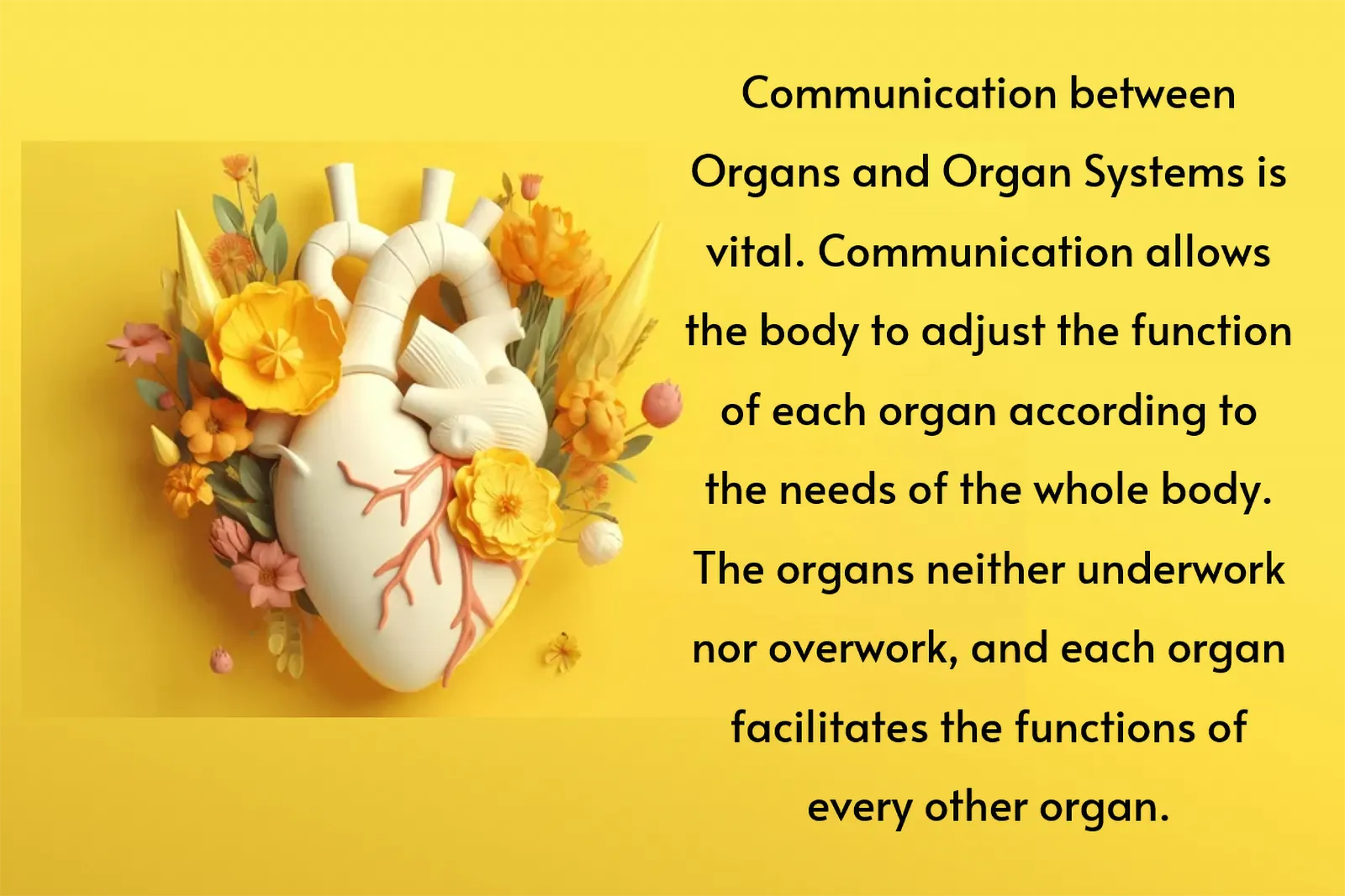 Rejuvenation & Longevity (Rasayana) at Ultimate Life
